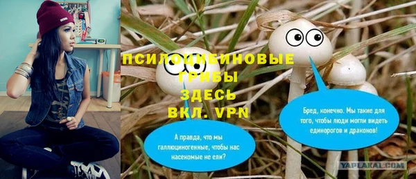 spice Абдулино
